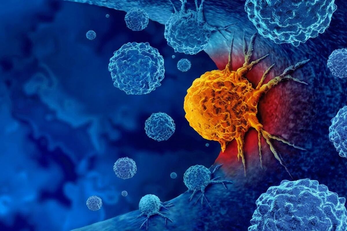 A través de radiofármacos específicos y tecnología PET/CT, este enfoque permite visualizar la extensión del tumor y anticipar la eficacia terapéutica antes de iniciar el tratamiento.