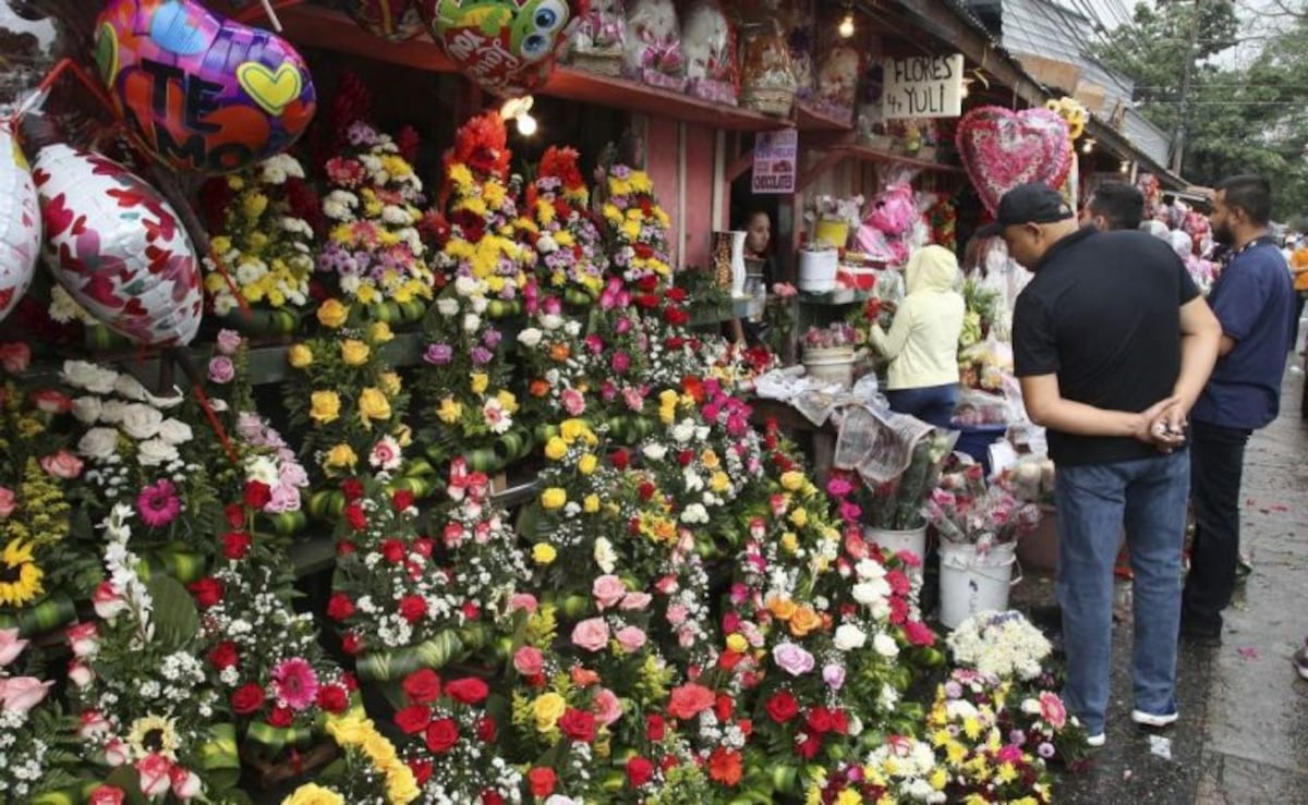 Muchos hijos eligieron este año obsequiarle flores y plantas de interior a sus mamás. (La Voz)
