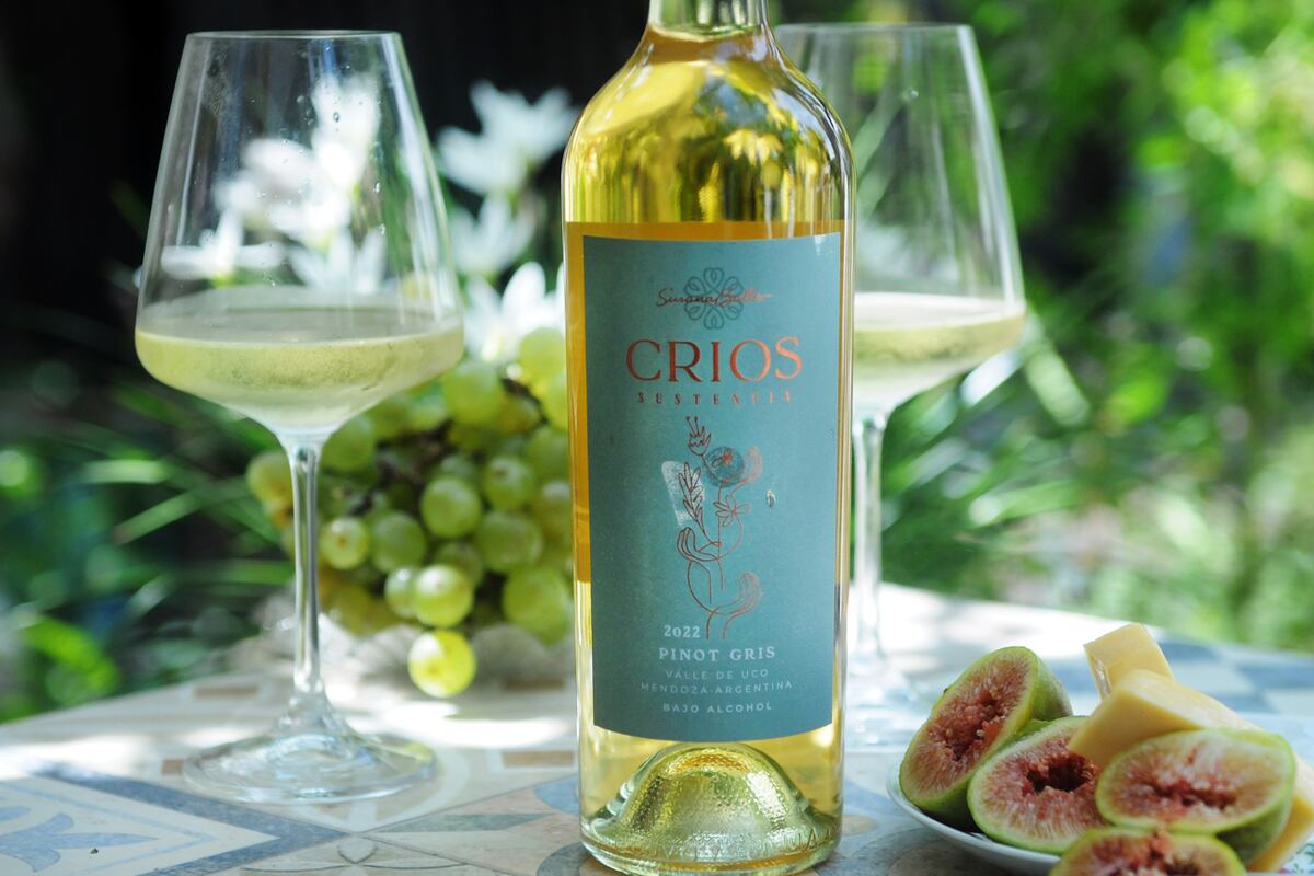 Vinos hechos por mujeres en Argentina. (Javier Ferreyra).