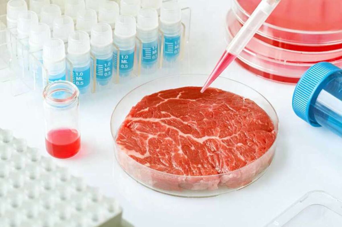 Biotecnología, una de las actividades en la que Córdoba puede crecer en vistas a los mercados externos. (La Voz / Archivos)