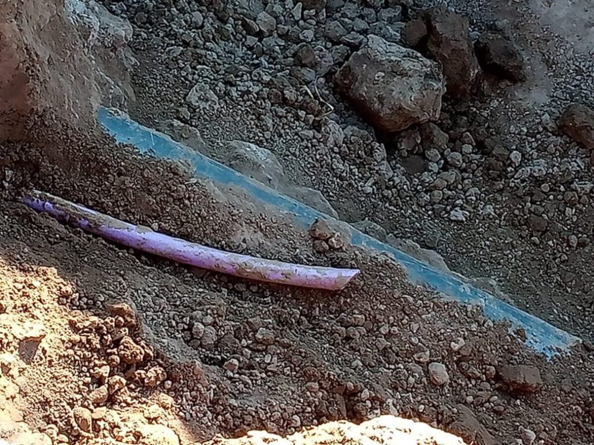 Los cables tendrían un valor aproximado de 20 mil pesos. (El Correo del Interior)