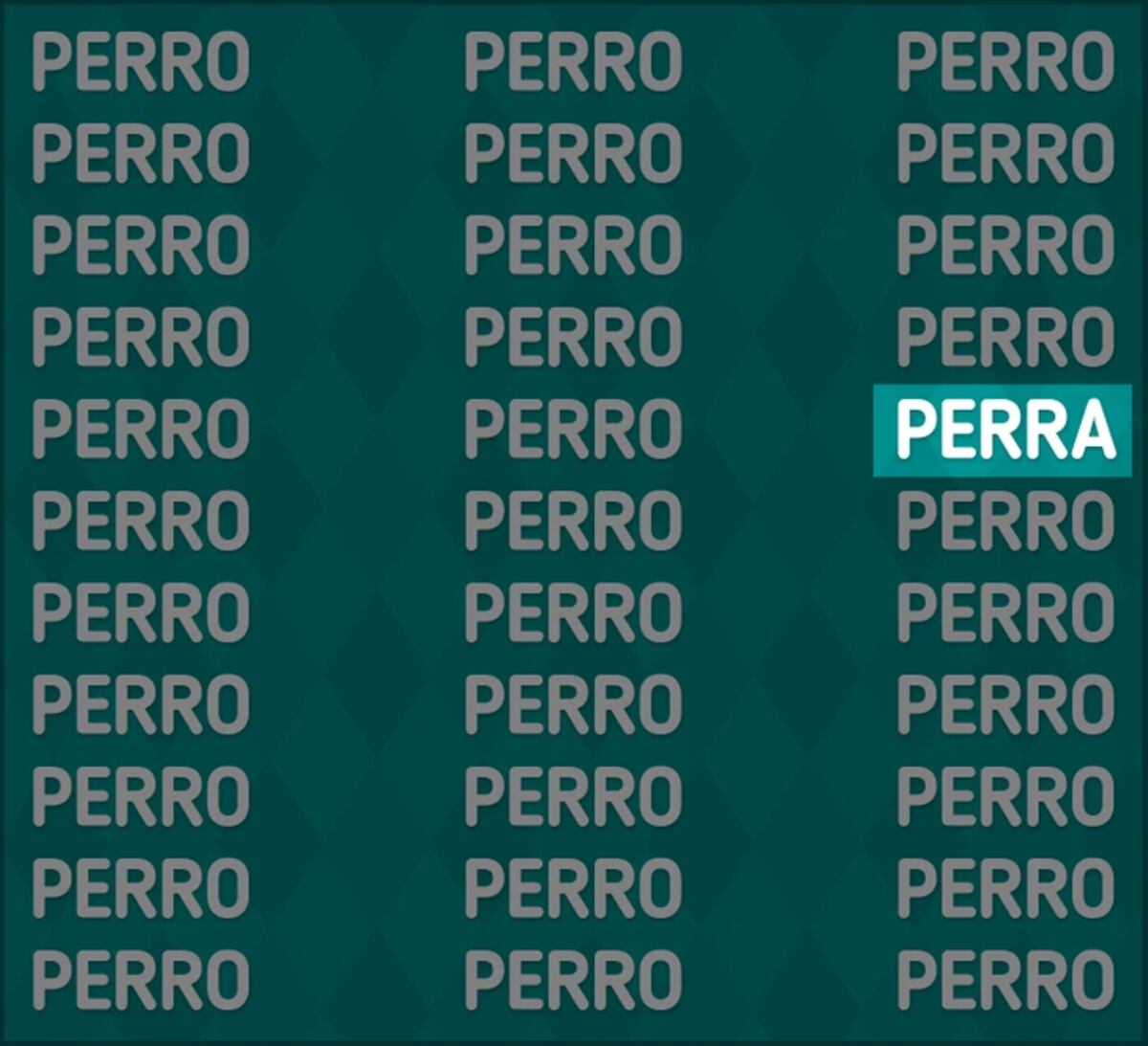 La solución del acertijo visual.