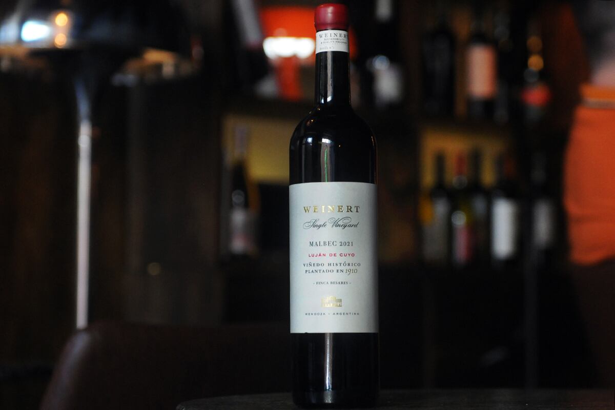 Weinert single vineyard malbec proveniente de viñedos centenarios plantados en 1910 en Luján de Cuyo, (Javier Ferreyra / La Voz)