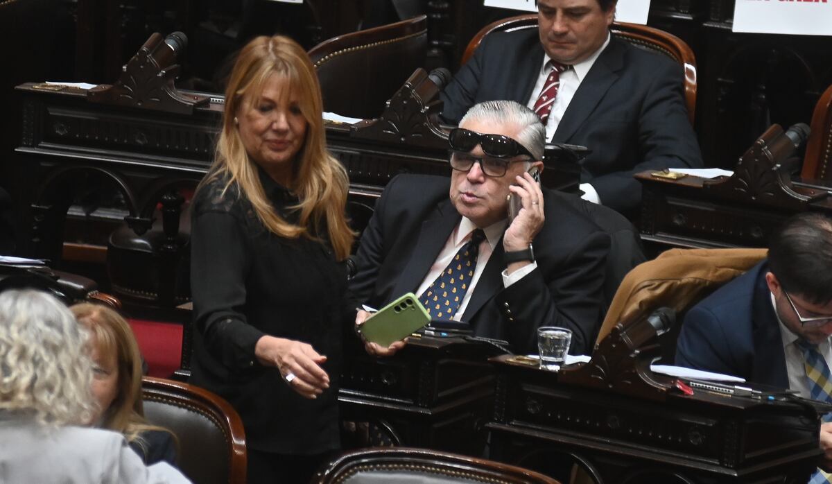 "Megasesión" en Diputados de este miércoles 6 de agosto. (Gentileza Clarín)