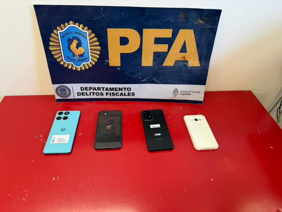 Secuestro de elementos y millones entre pesos, euros y dólares. (PFA)