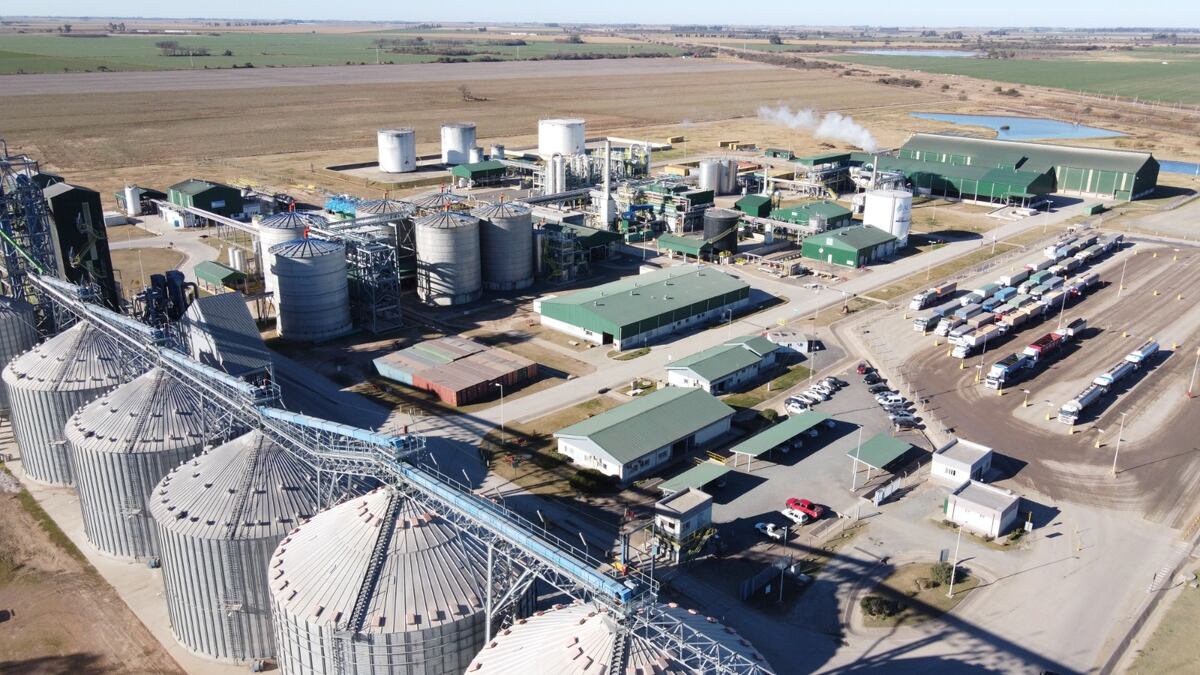 Con inversiones por U$S 150 millones, el etanol ratifica el liderazgo de Córdoba