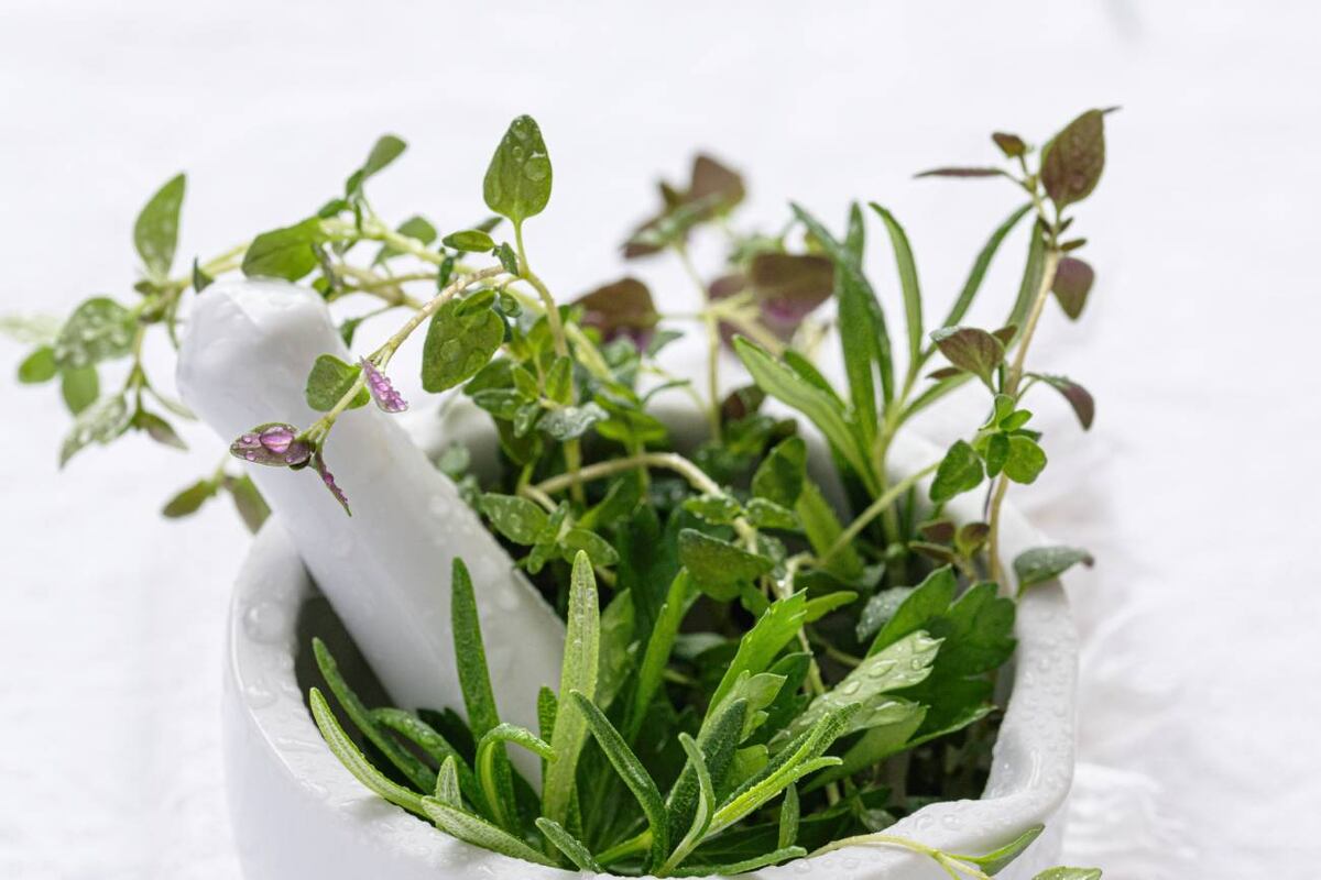 El té de valeriana: un remedio natural que calma el estrés y cuida tu corazón, respaldado por la ciencia. (Freepik)