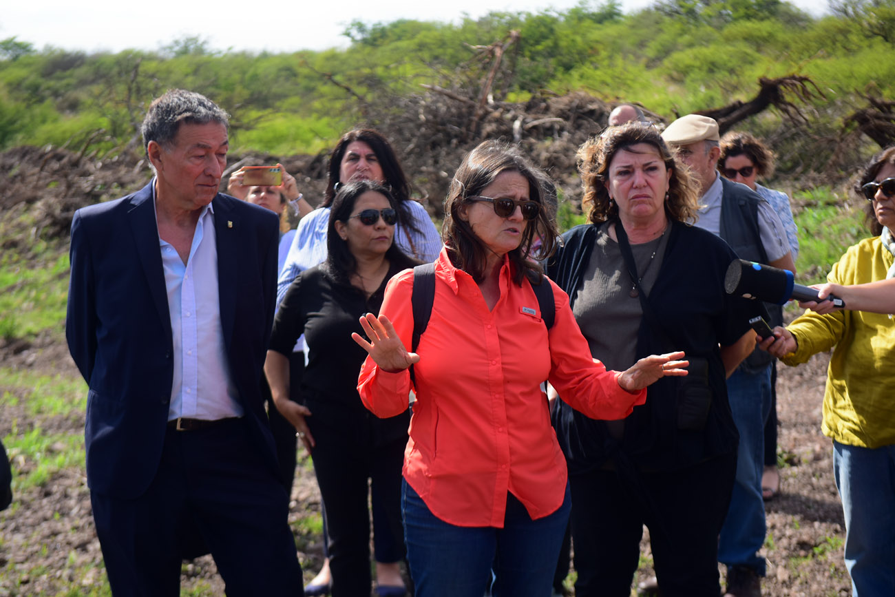 Trabajos de excavación en la Loma del Torito, cerca de La Perla, donde se encontraron fosas con restos humanos. Sivlana Turner, del EAAF. (Nicolás Bravo / La Voz)