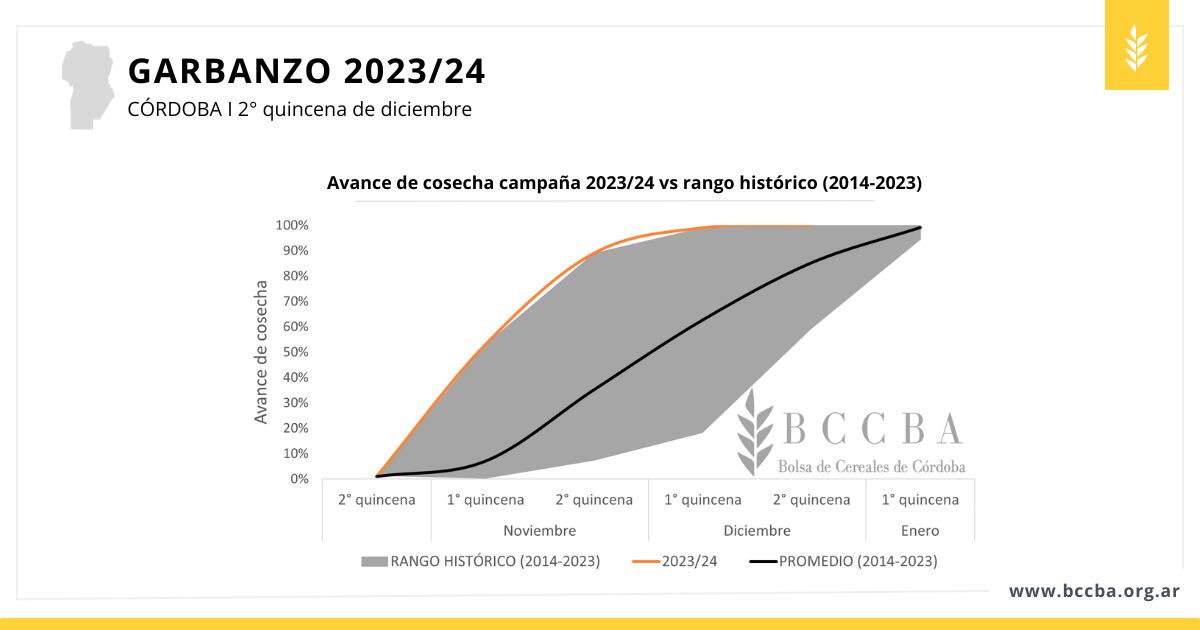 Producción de garbanzo en Córdoba.
