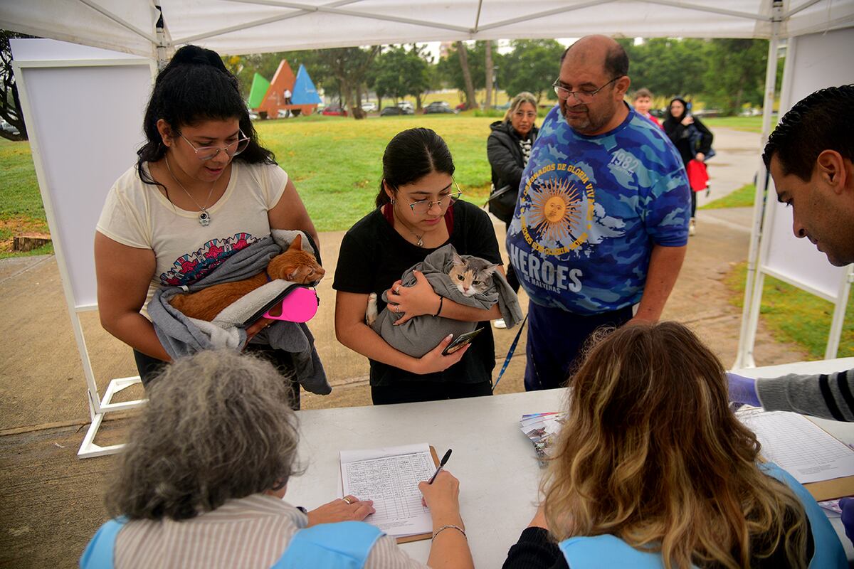 Córdoba. Llevan adelante la campaña gratuita de vacunación y desparasitación para perros y gatos en el Parque de las Tejas. (Pedro Castillo / La Voz)