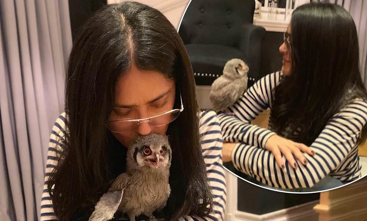 Salma y su mascota Karing, una lechuza