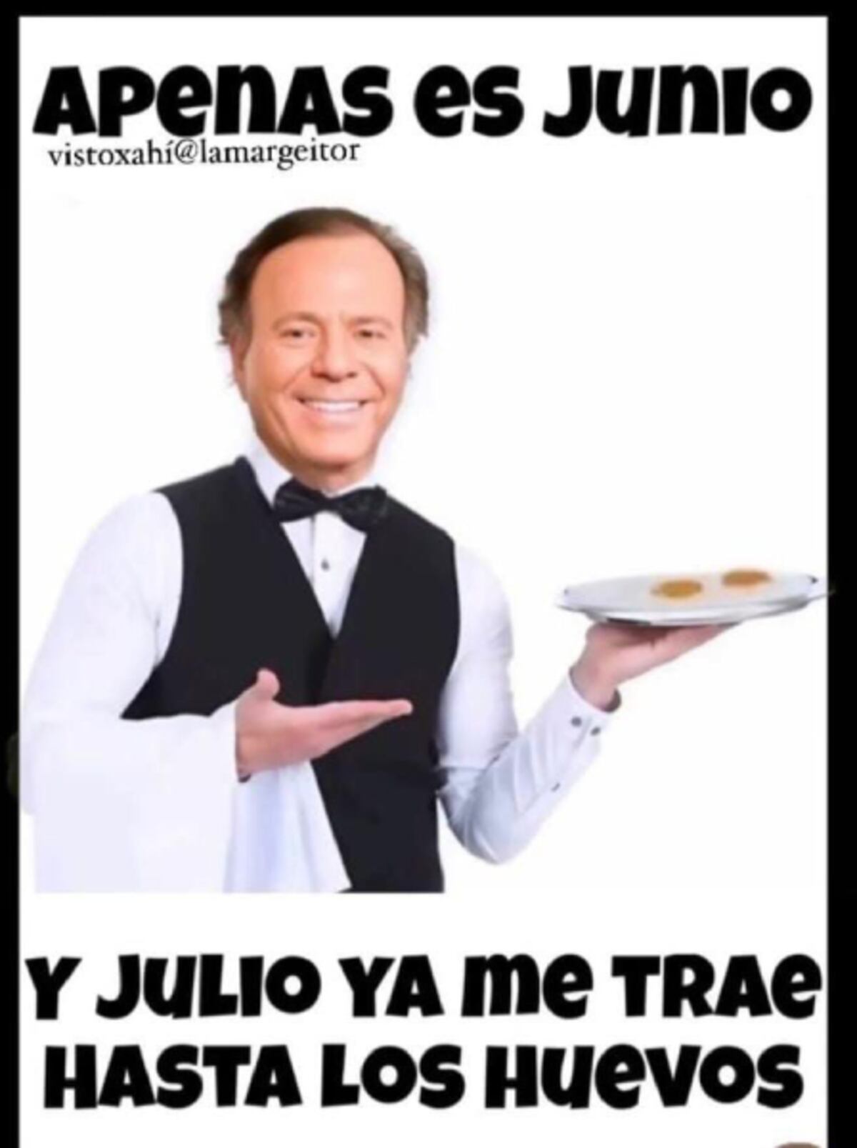 Los mejores memes de Julio. (Captura)