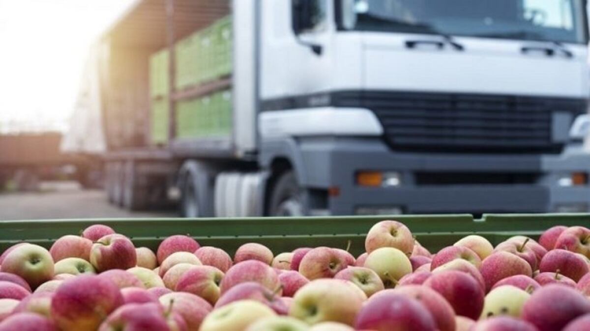 LOGÍSTICA. El transporte de alimentos al interior provincial supone mayores costos que en la Capital. (La Voz)