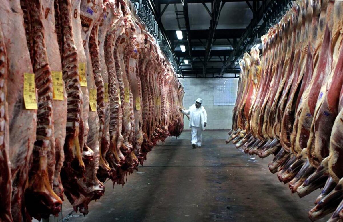 Ya sin margen, la carne argentina necesita dar un salto a nivel mundial