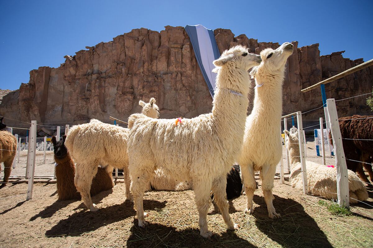 Turismo en Catamarca