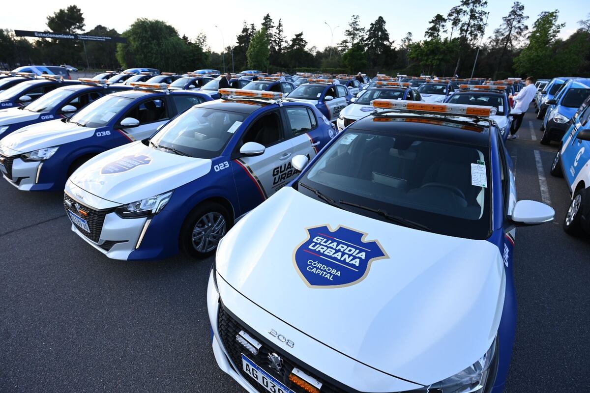 El proceso de compra de los 400 autos quedó suspendido.