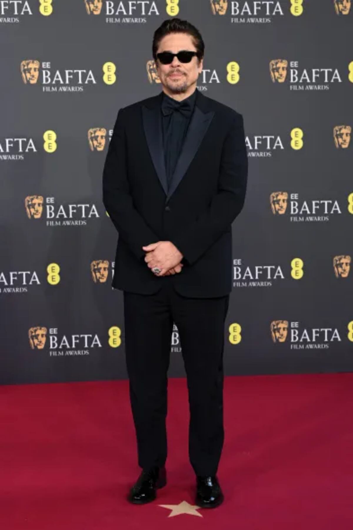 Benicio del Toro (Foto: Shutterstock)