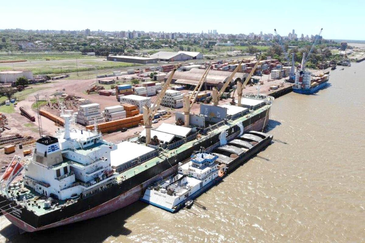 TPR cerro convenio con las más importantes navieras del mundo como CMA, CGM, Maersk y MSC, con frecuencias semanales y conexión a Brasil.
