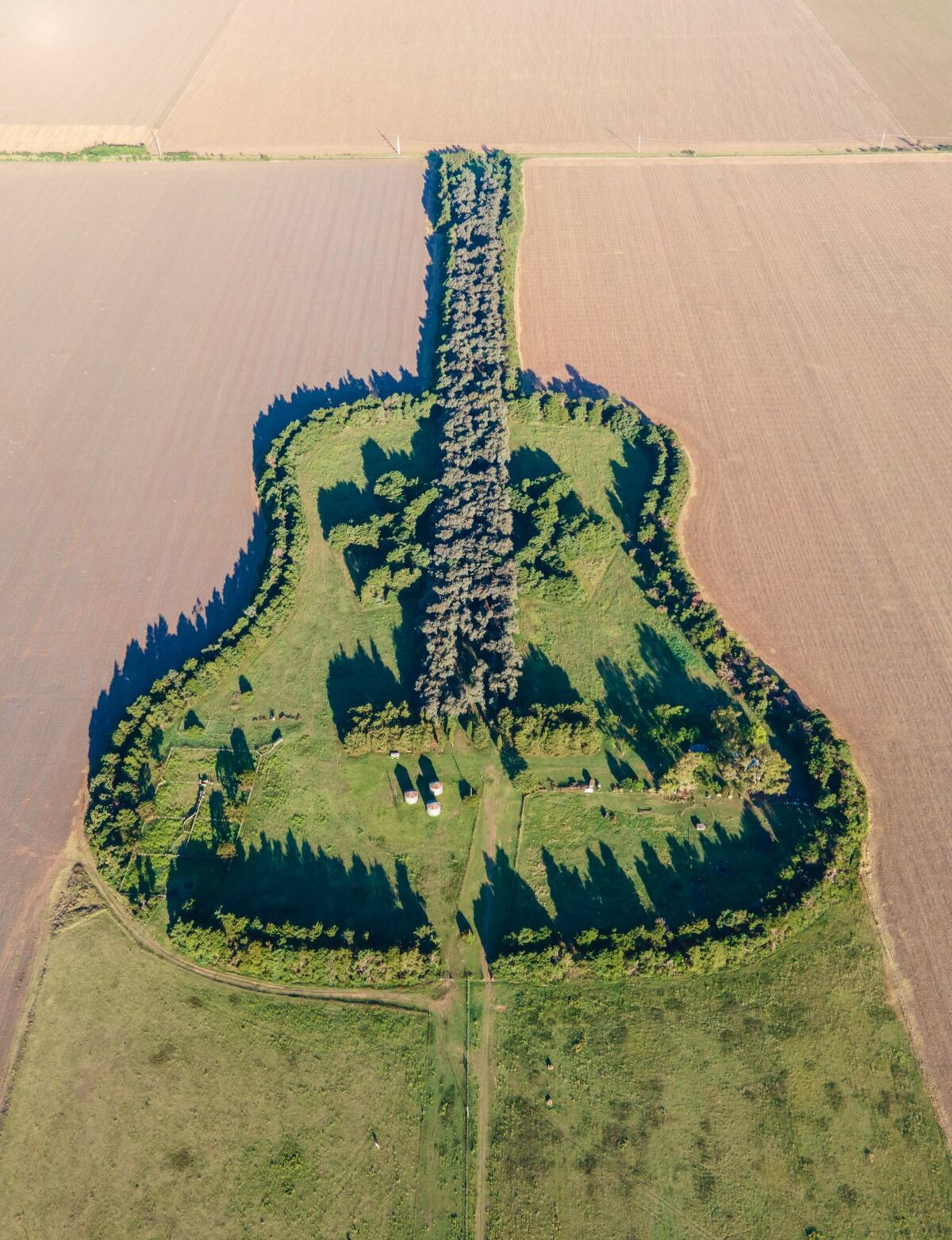 La Guitarra de Árboles se construyó en General Levalle, Córdoba. Fue el homenaje de Pedro Utera a su joven esposa que falleció. (Foto: Twitter @gui10road)
