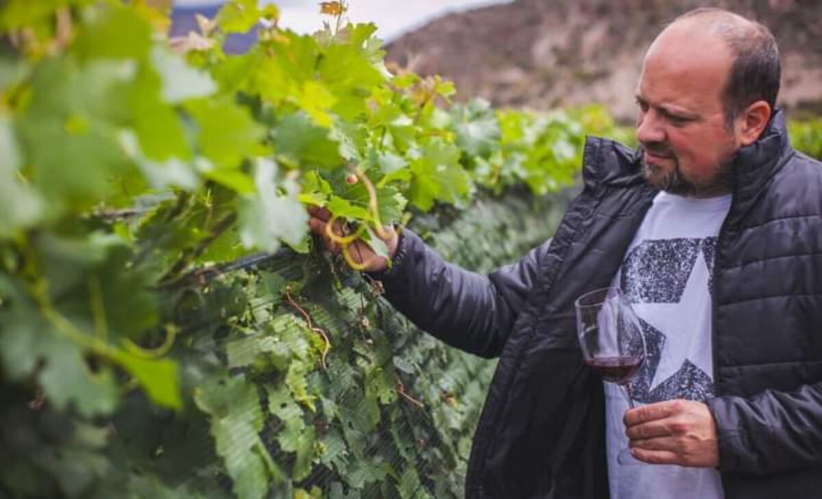 Cata de vinos.