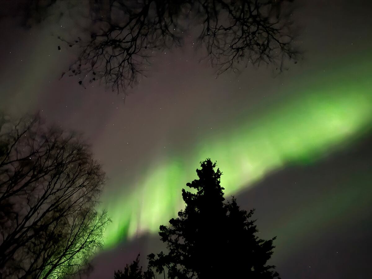 ARCHIVO - La aurora boreal se observa sobre Anchorage, Alaska, a primera hora de la mañana del viernes 11 de octubre de 2024. (Foto AP/Mark Thiessen, Archivo)