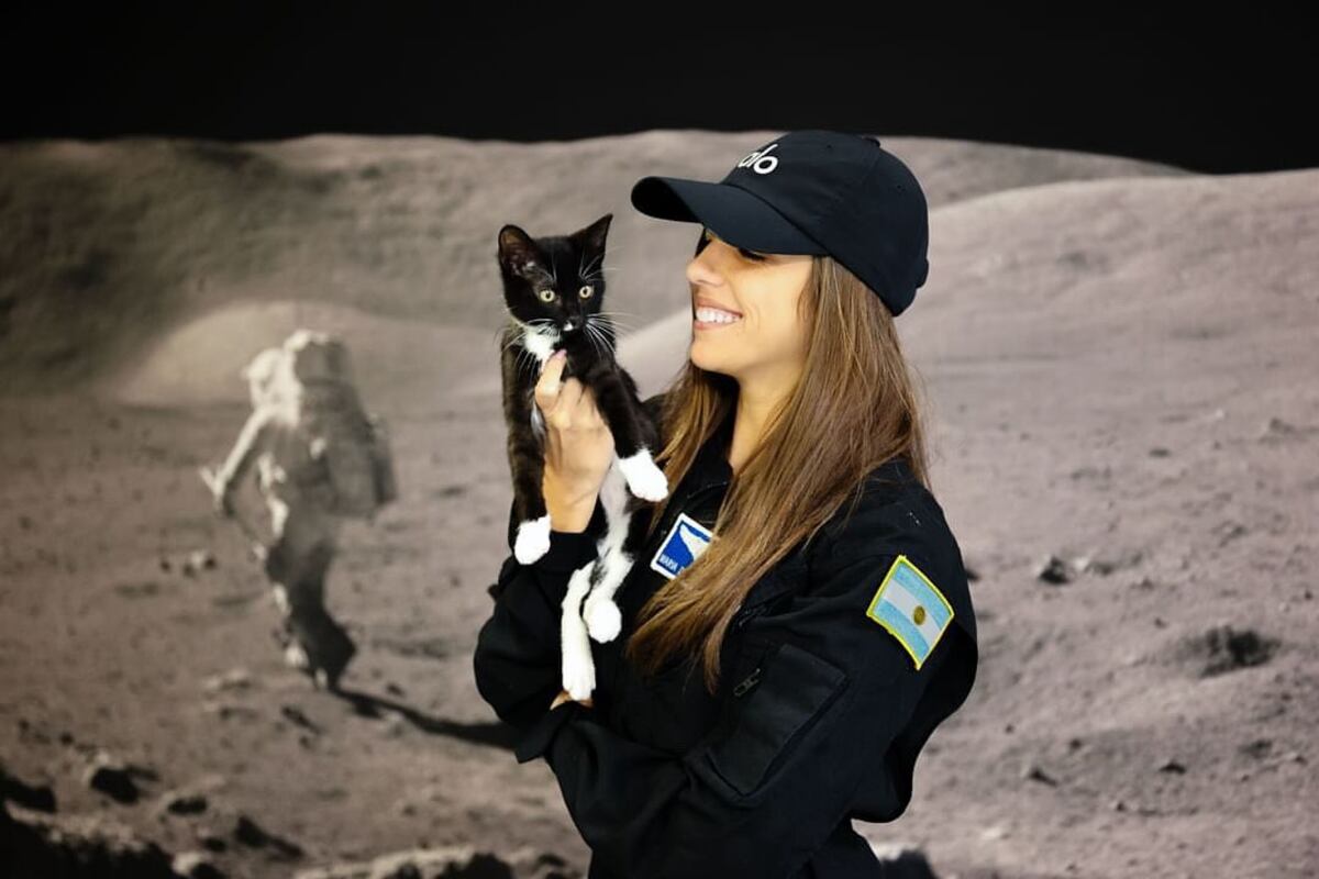 María Noel de Castro Campos sueña con viajar al espacio. Acá con la compañía de su gato Rocket. "No importa cuán lejos viajemos, siempre llevamos con nosotros el amor y la compañía más fiel✨. Rocket y yo, explorando las estrellas juntos, porque hasta en el espacio, los amigos de cuatro patas son nuestro hogar".