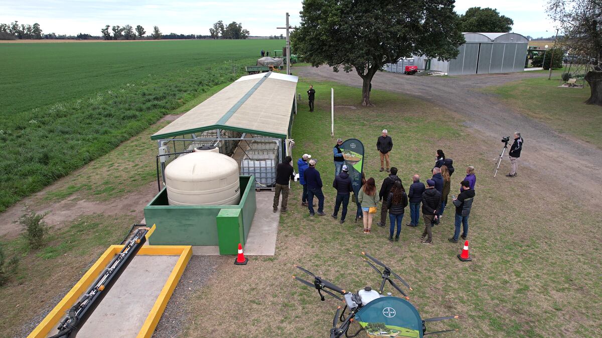 Bayer y su modelo de agricultura regenerativa.