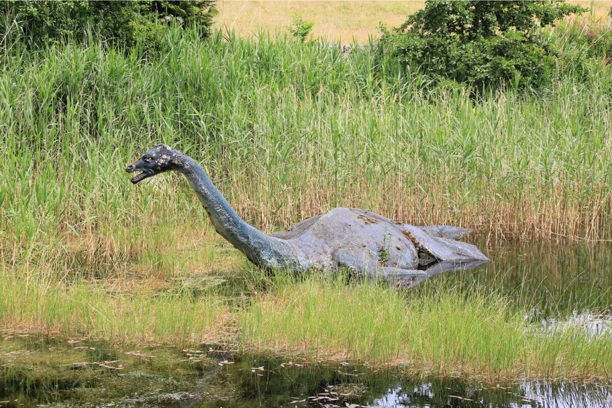 Steve Feltham lleva décadas observando el legendario lago de las Tierras Altas de Escocia. ¿Qué se mueve allí? ¿Por qué se ondula el agua? (DPA)