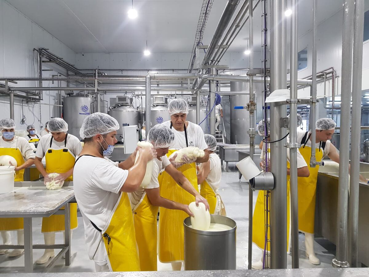 HILADO A MANO. La provoleta que elabora de manera industrial una láctea en Laboulaye, sin abandonar la receta artesanal. (Gentileza Nonna Pia)