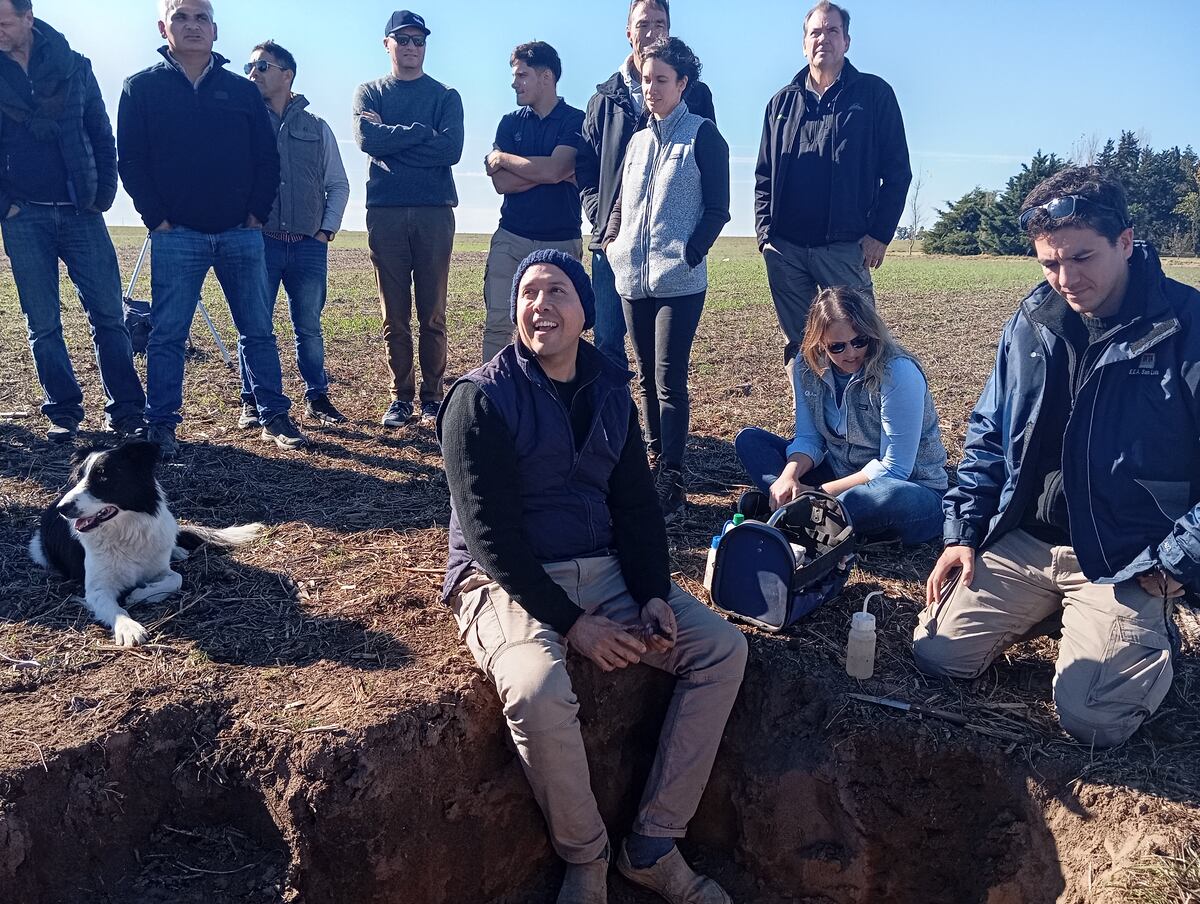 MODELO SUSTENTABLE. Intensificar no es hacer más cultivos, sino usar mejor los recursos, como el agua, la luz y los nutrientes. La experiencia en el sur de Córdoba, en la Chacra Aapresid en Jovita. (Gentileza Aapresid)