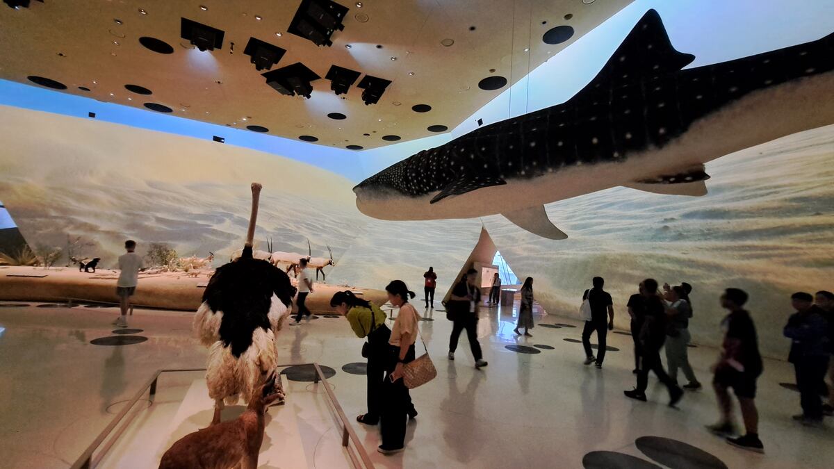Recorrido de La Voz por el Museo Nacional de Qatar. (La Voz)