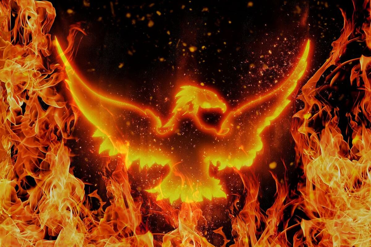 Descubre tu animal espiritual: ¿qué animal te representa según tu signo del zodiaco?