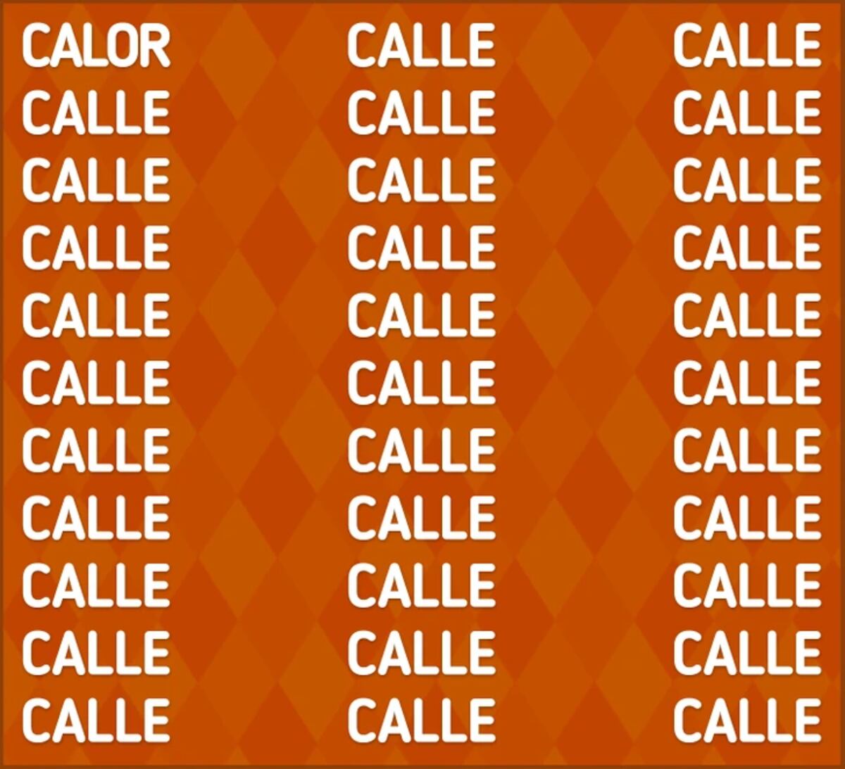 El acertijo visual.