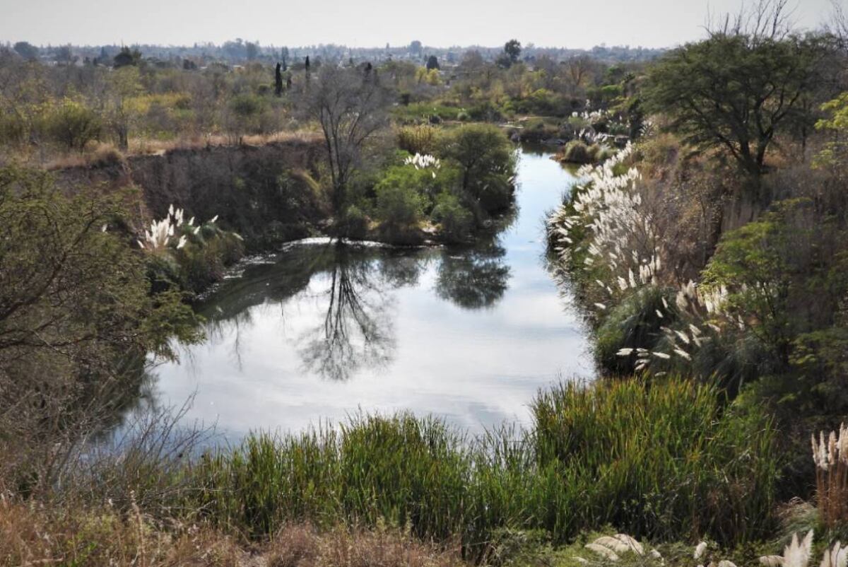 Cómo es el “oasis acuático” que proponen para ampliar la reserva San Martín