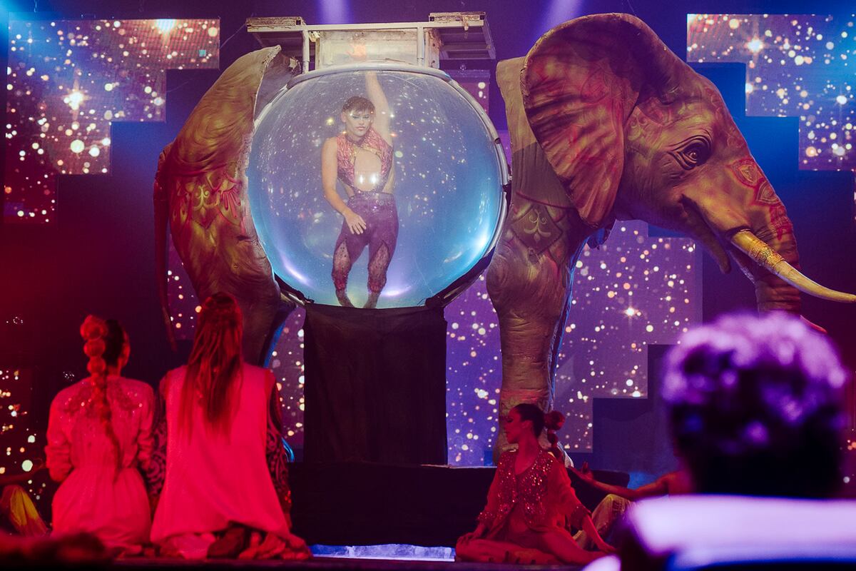 Espectáculo de Flavio Mendoza "El circo del ánima" (Gentileza: Silu_alvarenga.ph)