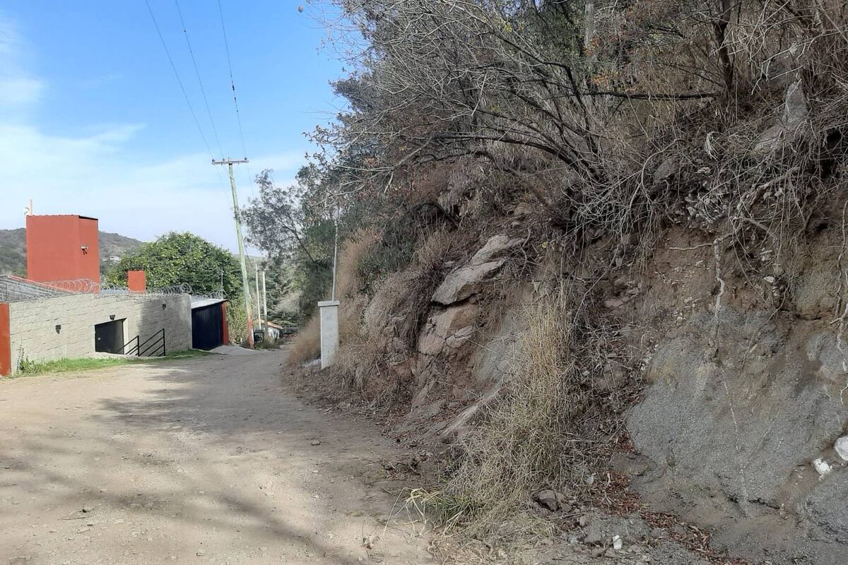 La denunciante Mabel Aramburo contó que desde hace 25 años que viene luchando en contra de la deforestación del cerro. (Mabel Aramburo)