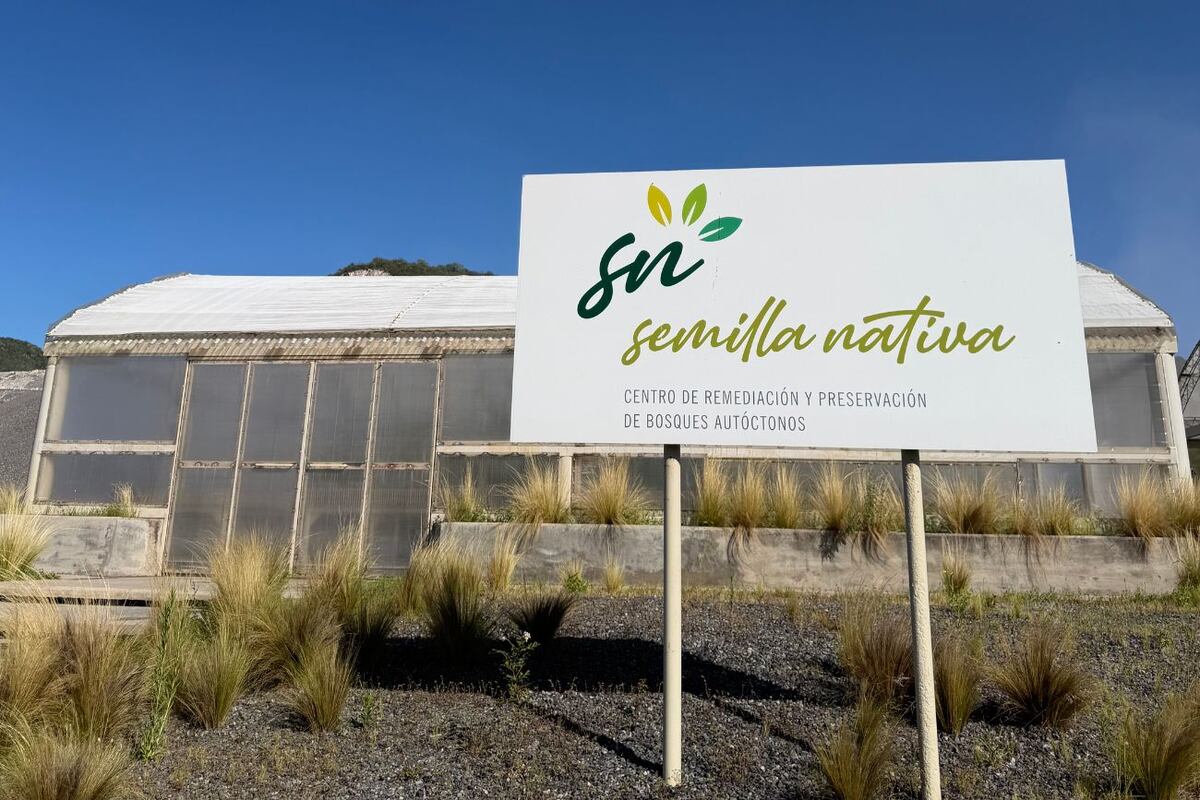 El vivero Semilla Nativa potencia el impacto social del proyecto mediante la provisión de plantines a municipios, instituciones y organizaciones locales.