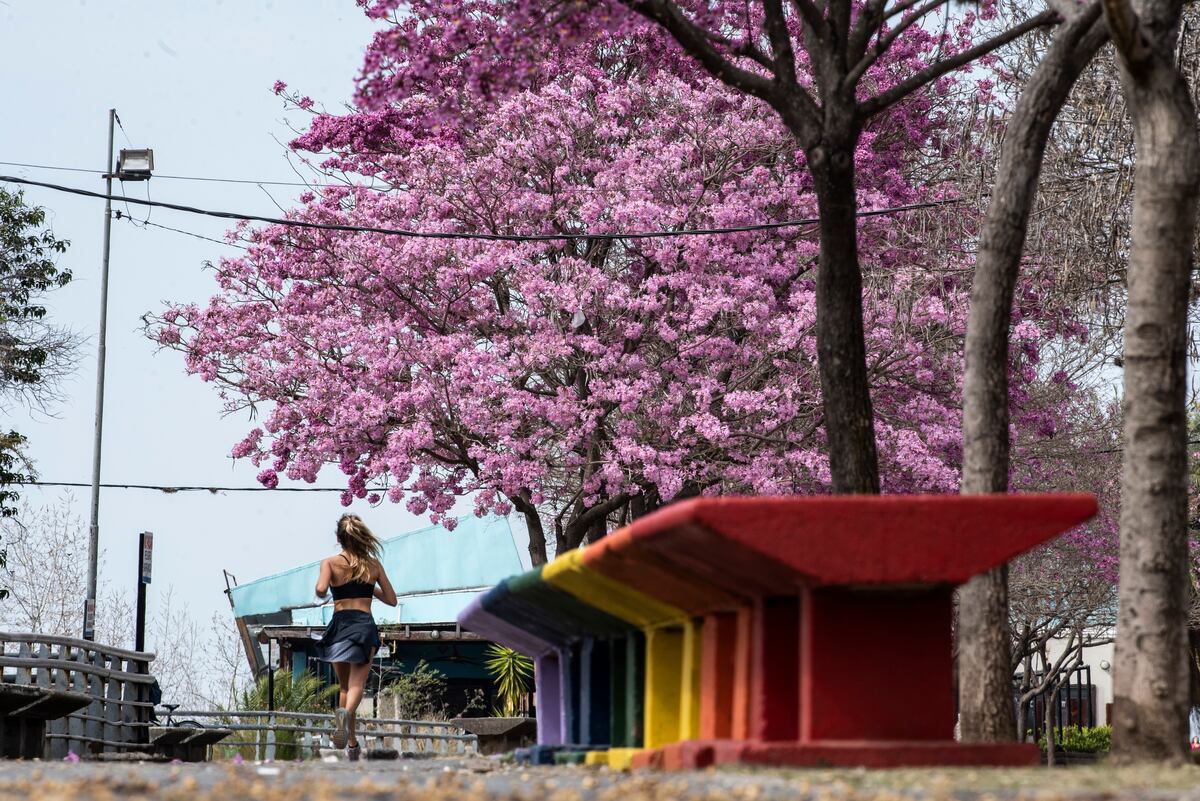 Caminá la ciudad y encontrate con los murales del 10. (Gentileza: Turismo Rosario)