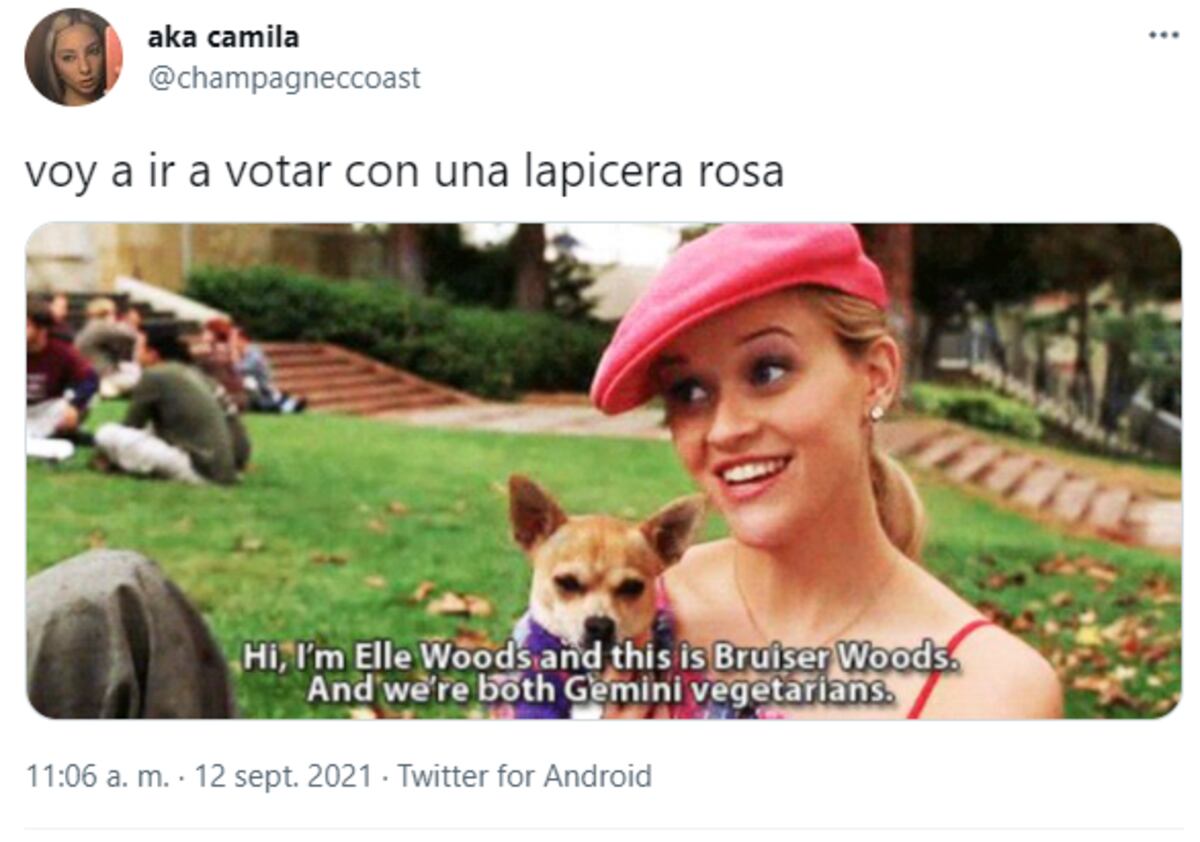 Los mejores memes de las Elecciones Paso 2021.