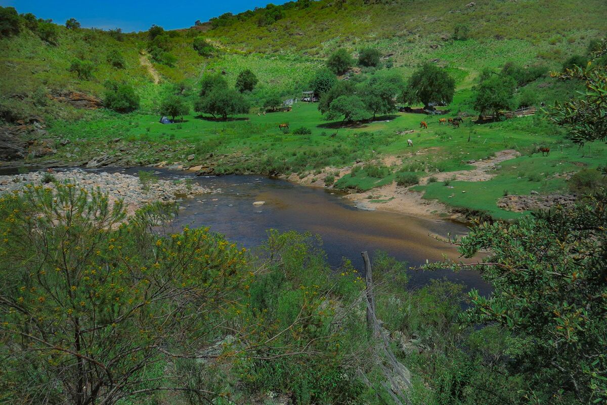 Playa Lejana destaca por sus saltos y ollas de tonos dorados, una característica típica de las aguas altas en yodo. (Gentileza: Cba Natural)