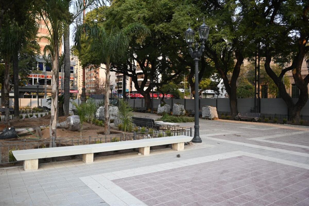 Así avanzan los trabajos de remodelación de la Plaza Colón. La Municipalidad dio a conocer nuevas imágenes de este martes y la colocación de unos 40 árboles de gran porte. (Municipalidad de Córdoba)