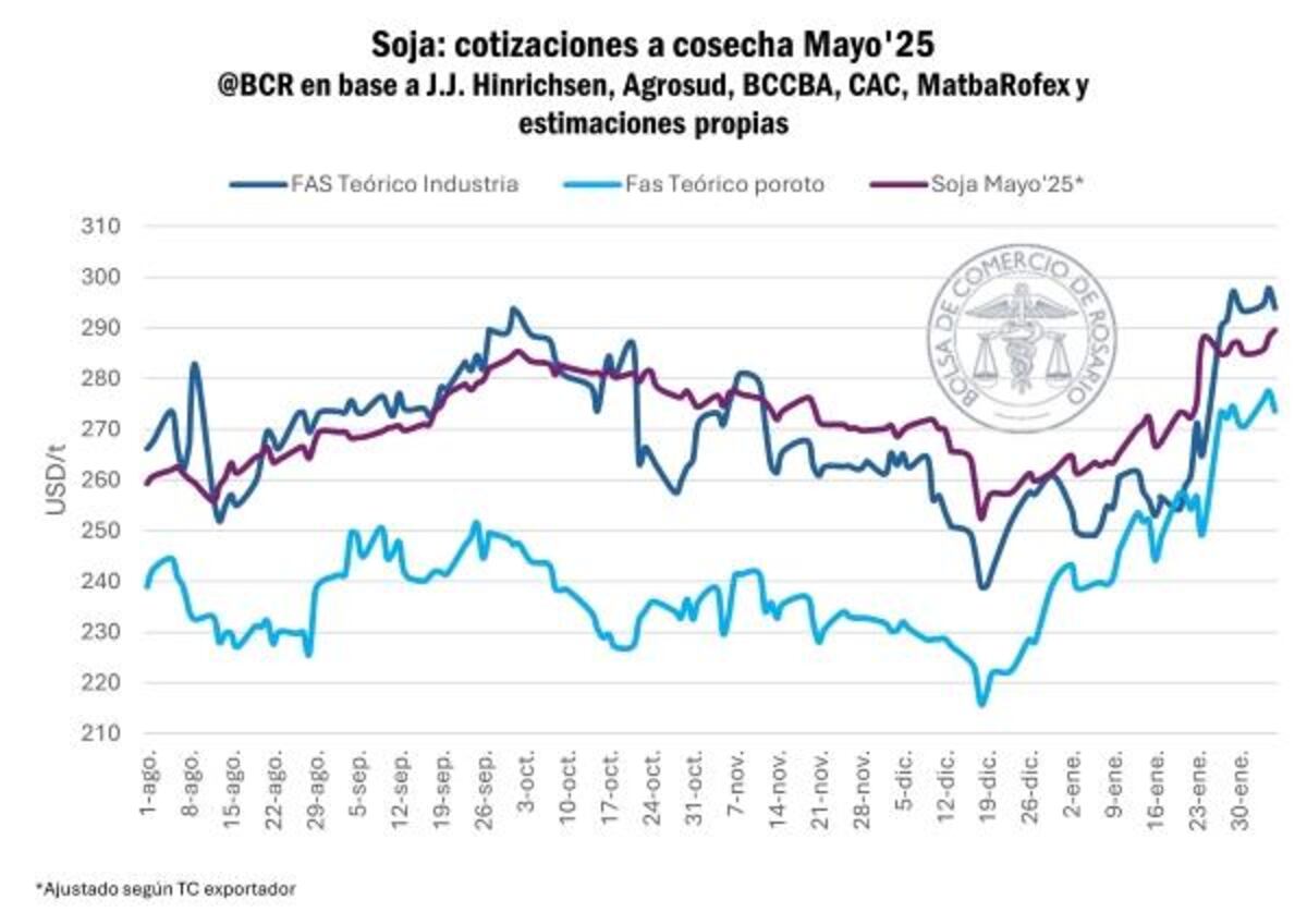 Procesamiento de soja