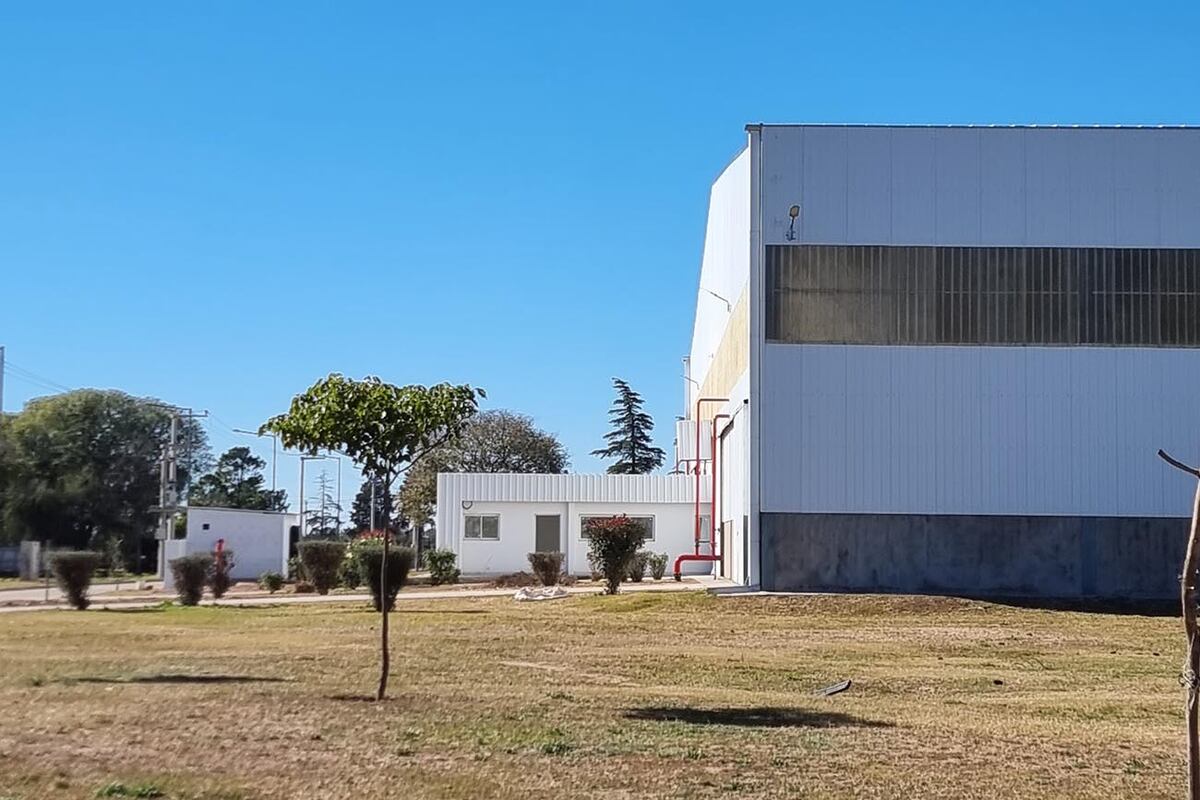 Más de 15 firmas conviven en un entorno colaborativo, compartiendo servicios y generando alianzas para potenciar el crecimiento conjunto.