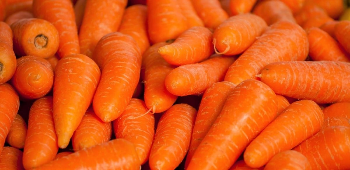 Zanahoria: el alimento económico que cuida la vista, el cerebro y ayuda a controlar el peso