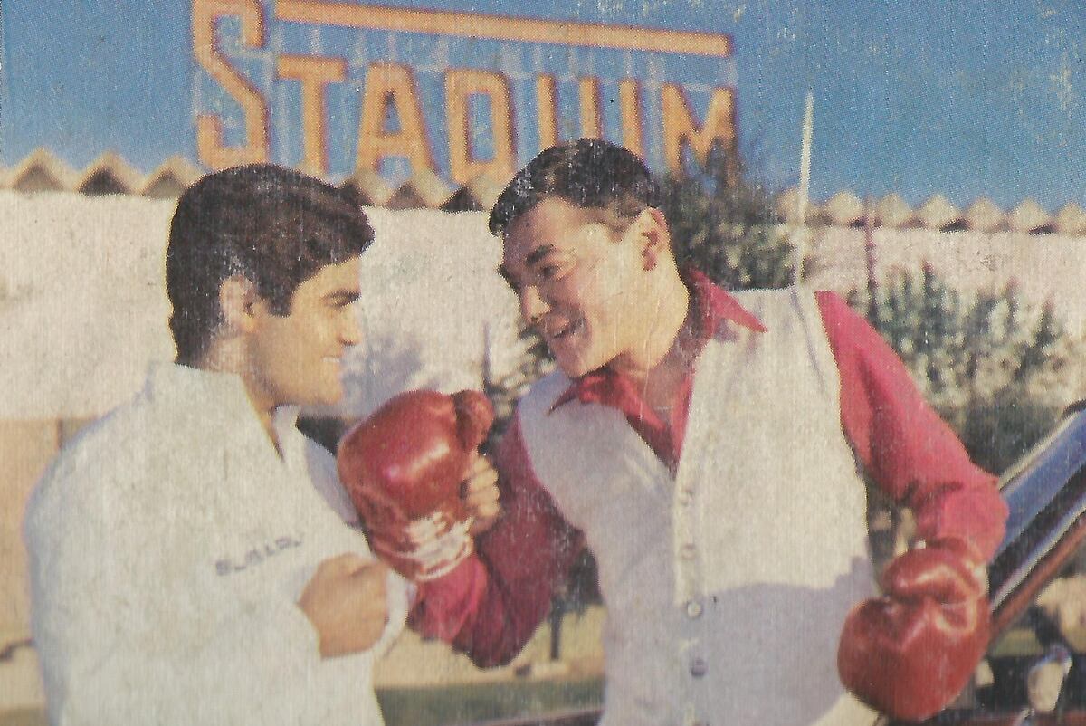 Contratapa del disco "Un torito cordobés", de 1981 (Foto: gentileza Música en Córdoba)