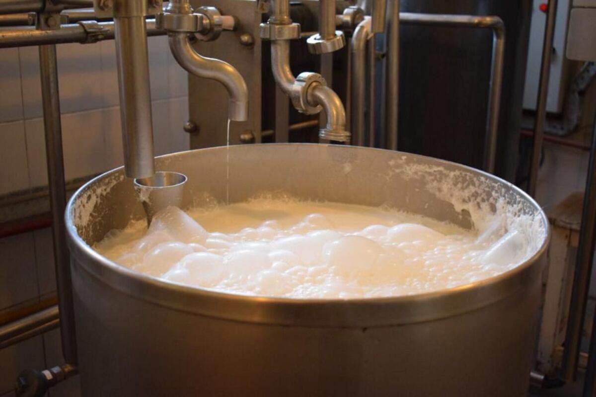 La fermentación del queso se hace en tinas, de manera artesanal. (Gentileza)