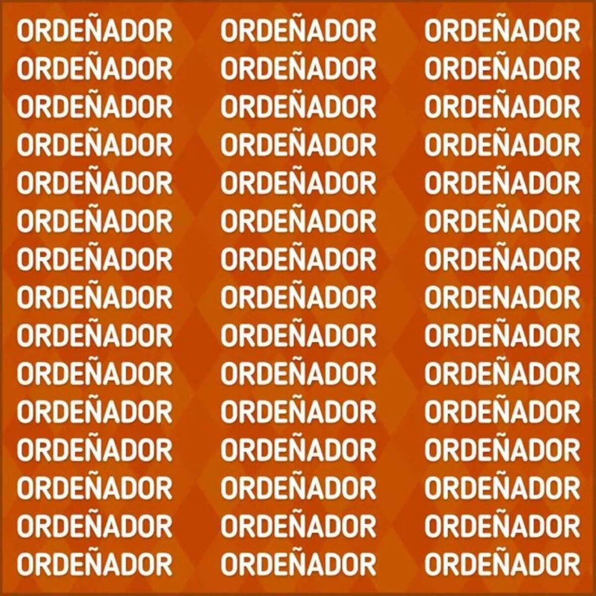 El acertijo visual.