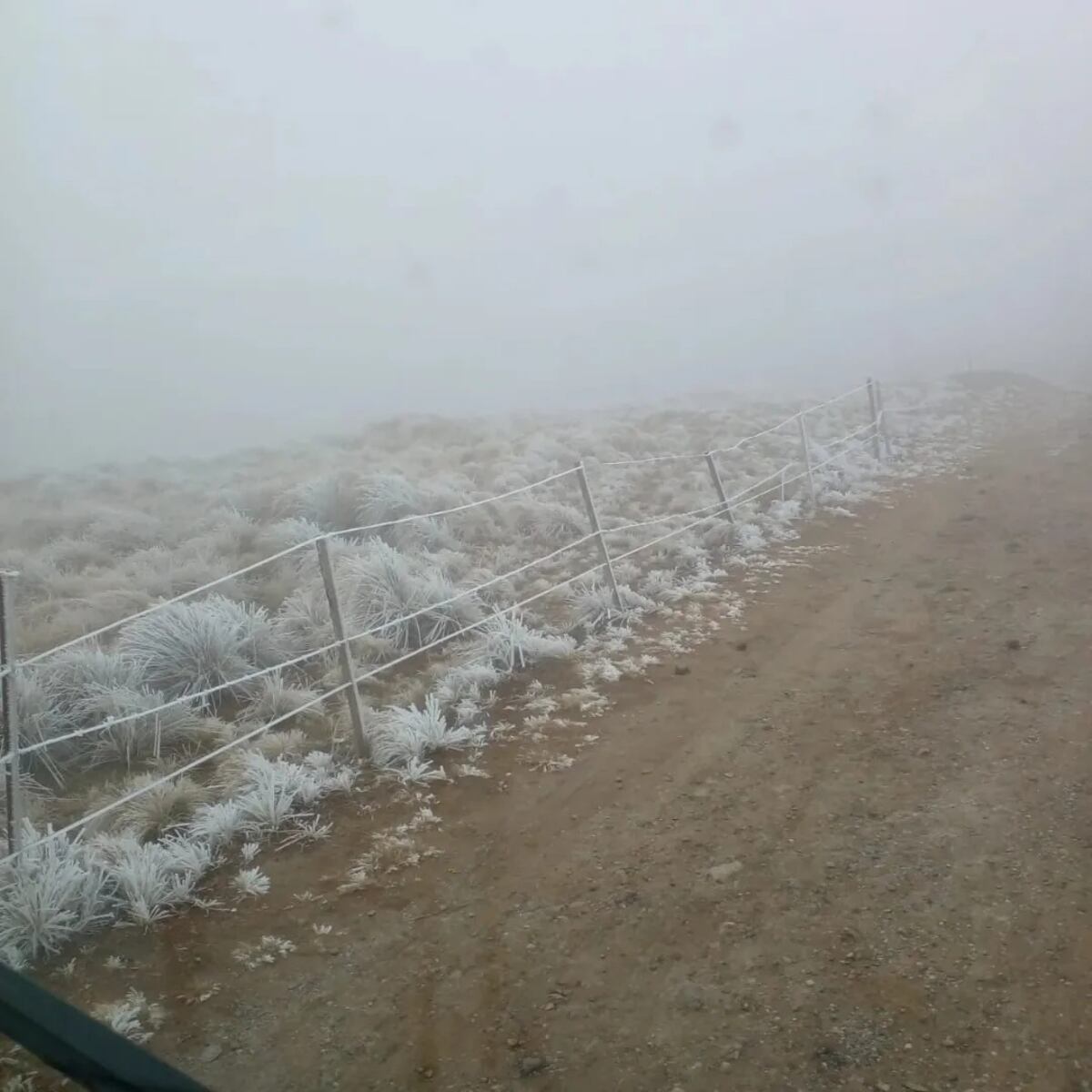 Villa de Merlo. Cayó nieve en las sierras de San Luis (Gentileza El Corredor Noticias).