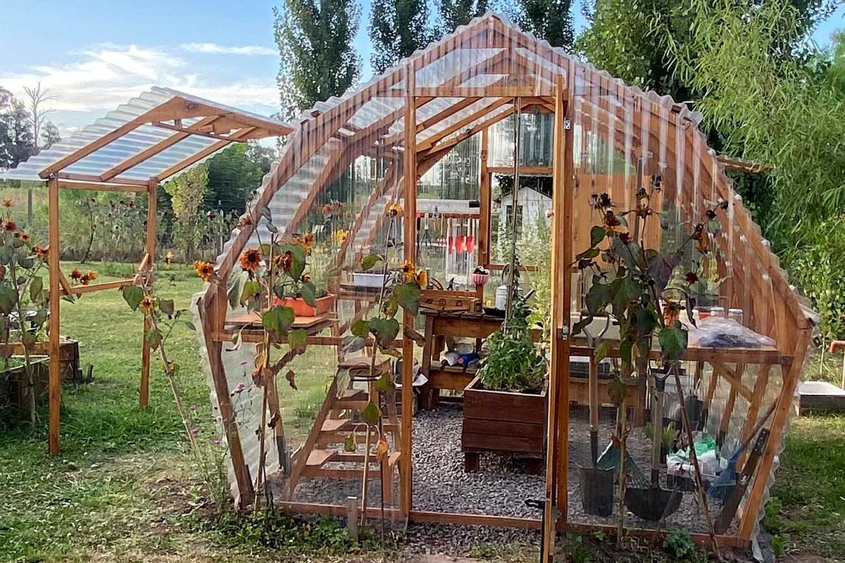 La jardinería ofrece la oportunidad de reconectar con el mundo natural y mejorar nuestra salud y bienestar.