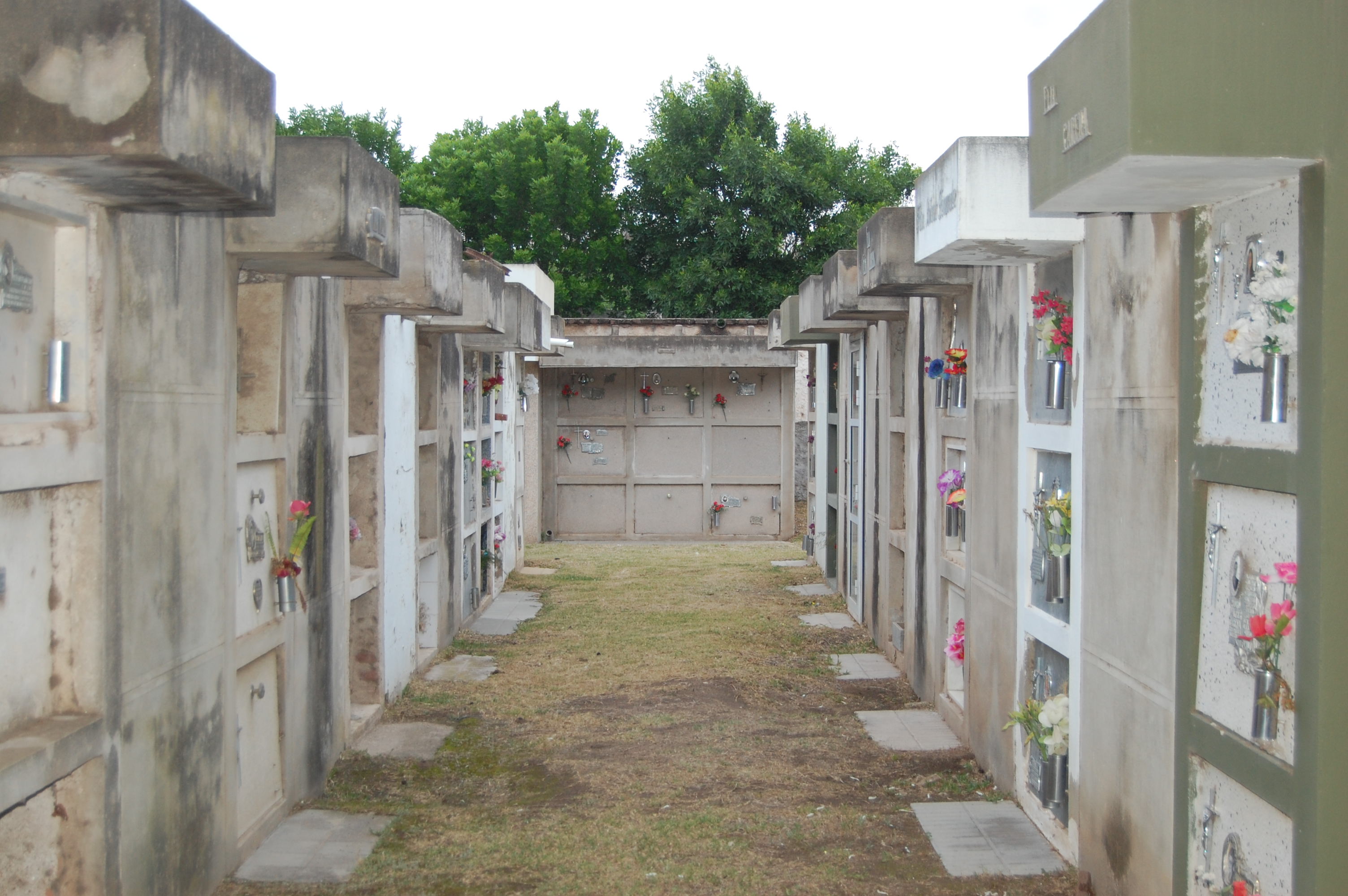 Una exhumación de un cadáver, la sospecha de un envenenamiento y una herencia millonaria en disputa